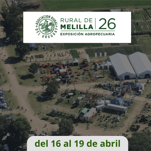 Vista aérea Expo Melilla 2026